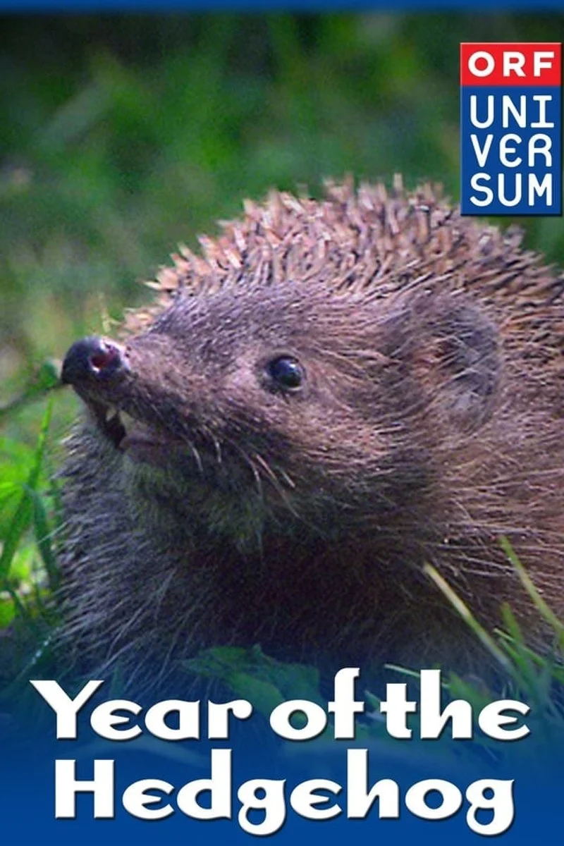 Poster van Year of the Hedgehog