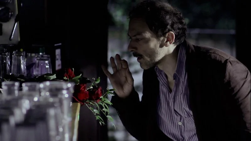 Affiche de All for a Rose