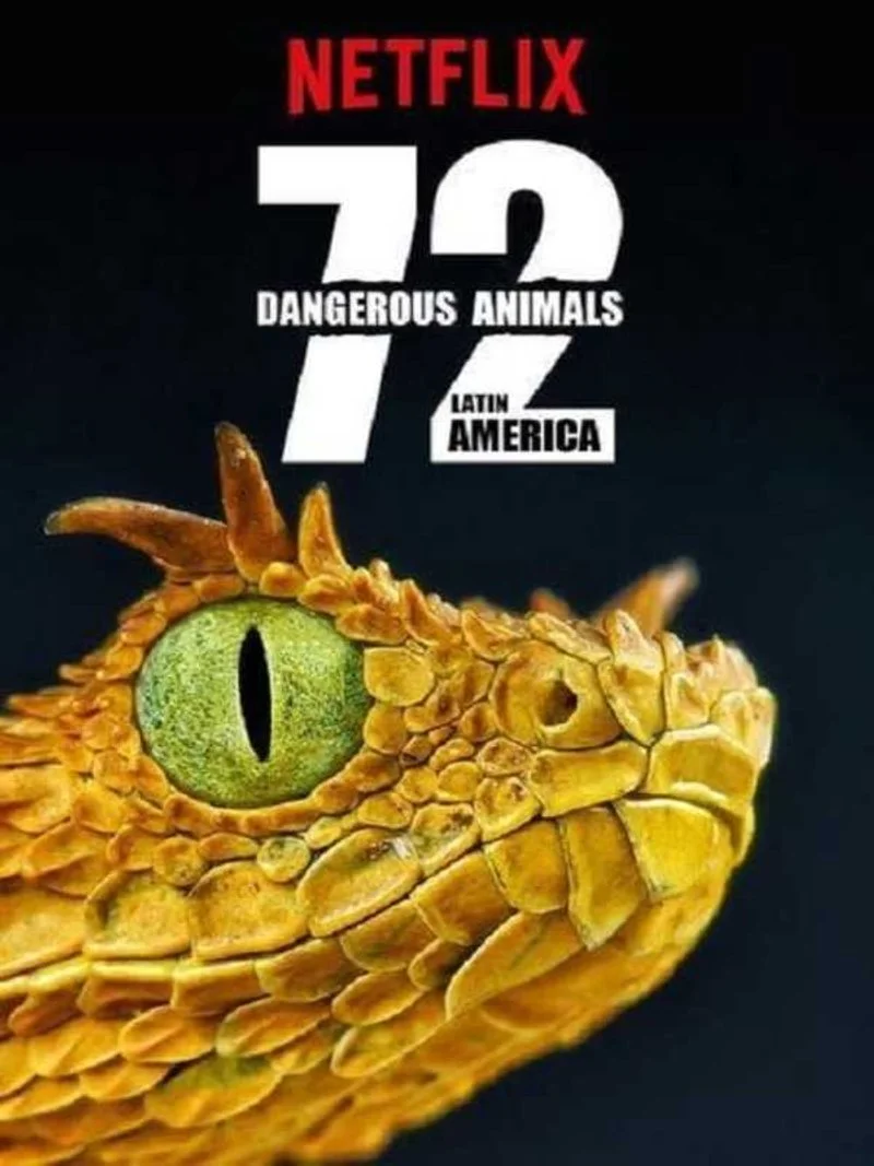 Poster van 72 Dangerous Animals: Latin America