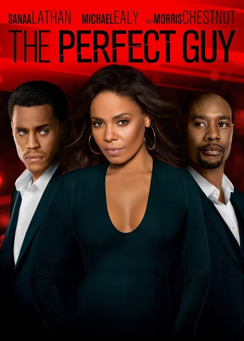 Poster van The perfect guy
