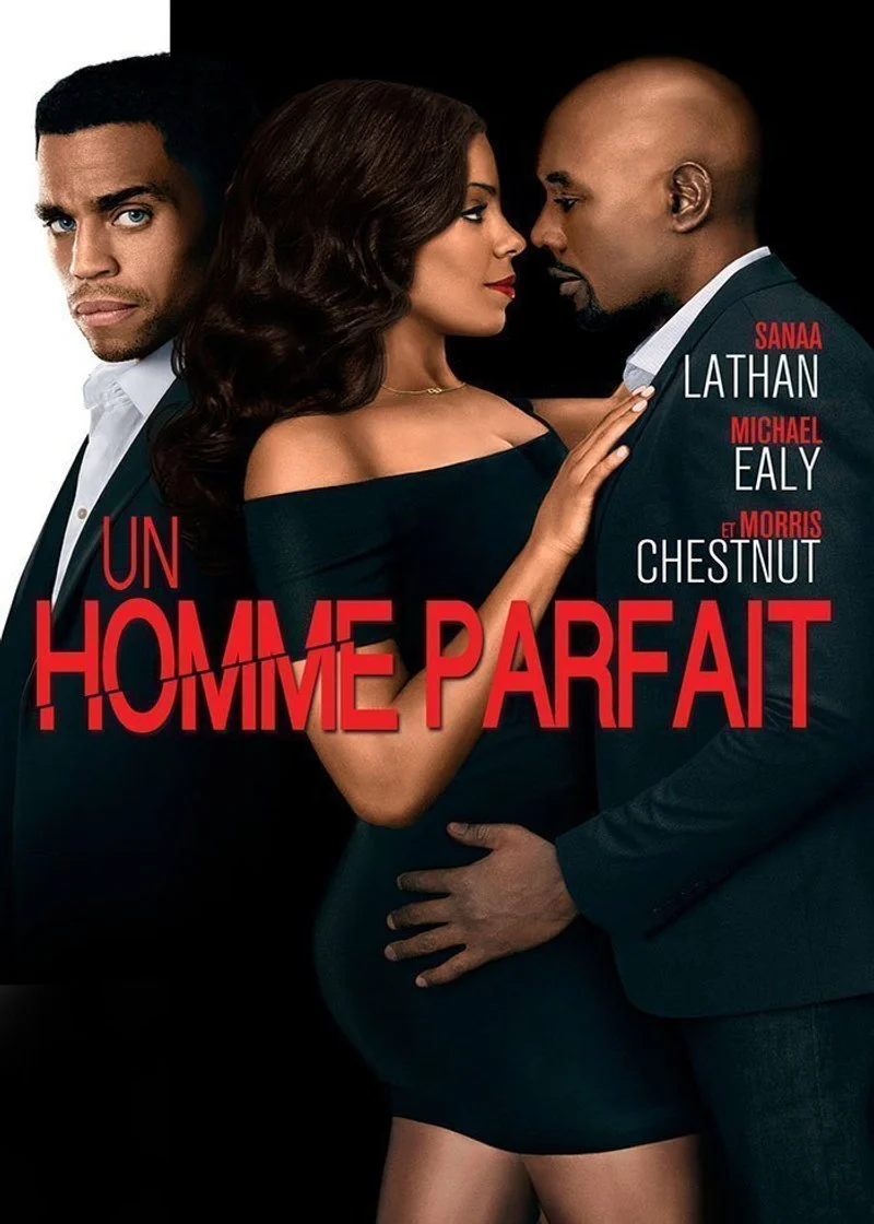 Affiche de Un homme parfait