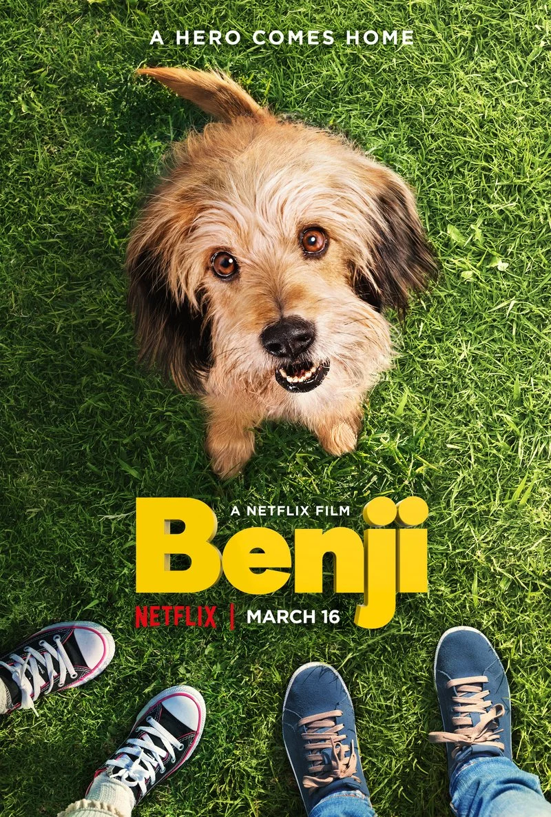 Affiche de Benji