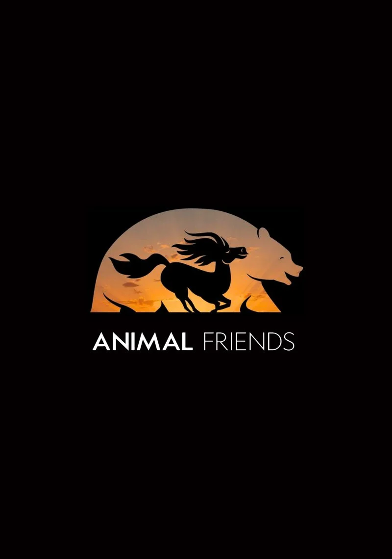 Affiche de Animal Friends