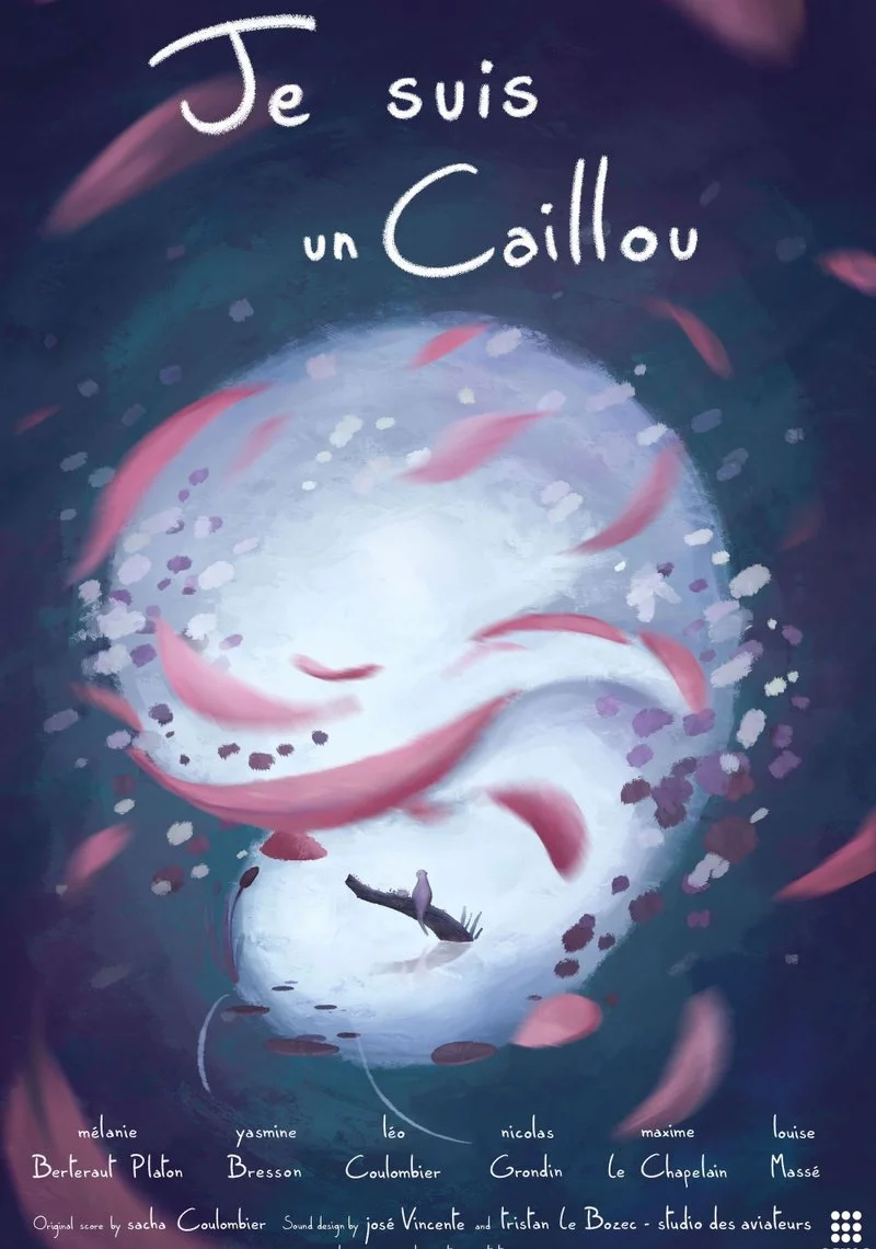 Poster van Je suis un caillou