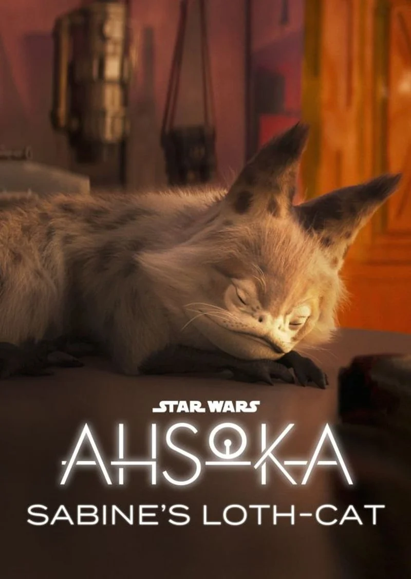 Affiche de Ahsoka: Sabines Loth-Cat