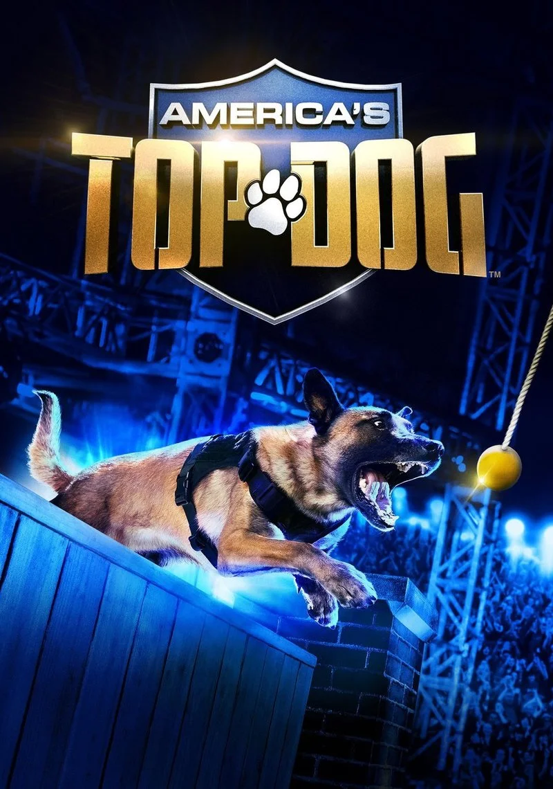 Poster van America's Top Dog