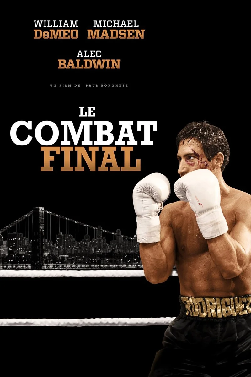 Affiche de Le combat final
