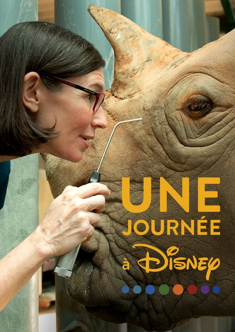 Affiche de Une Journée à Disney
