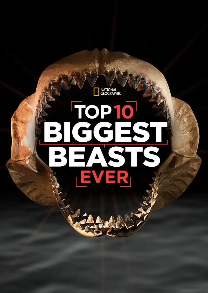 Poster van Top 10 Biggest Beasts Ever