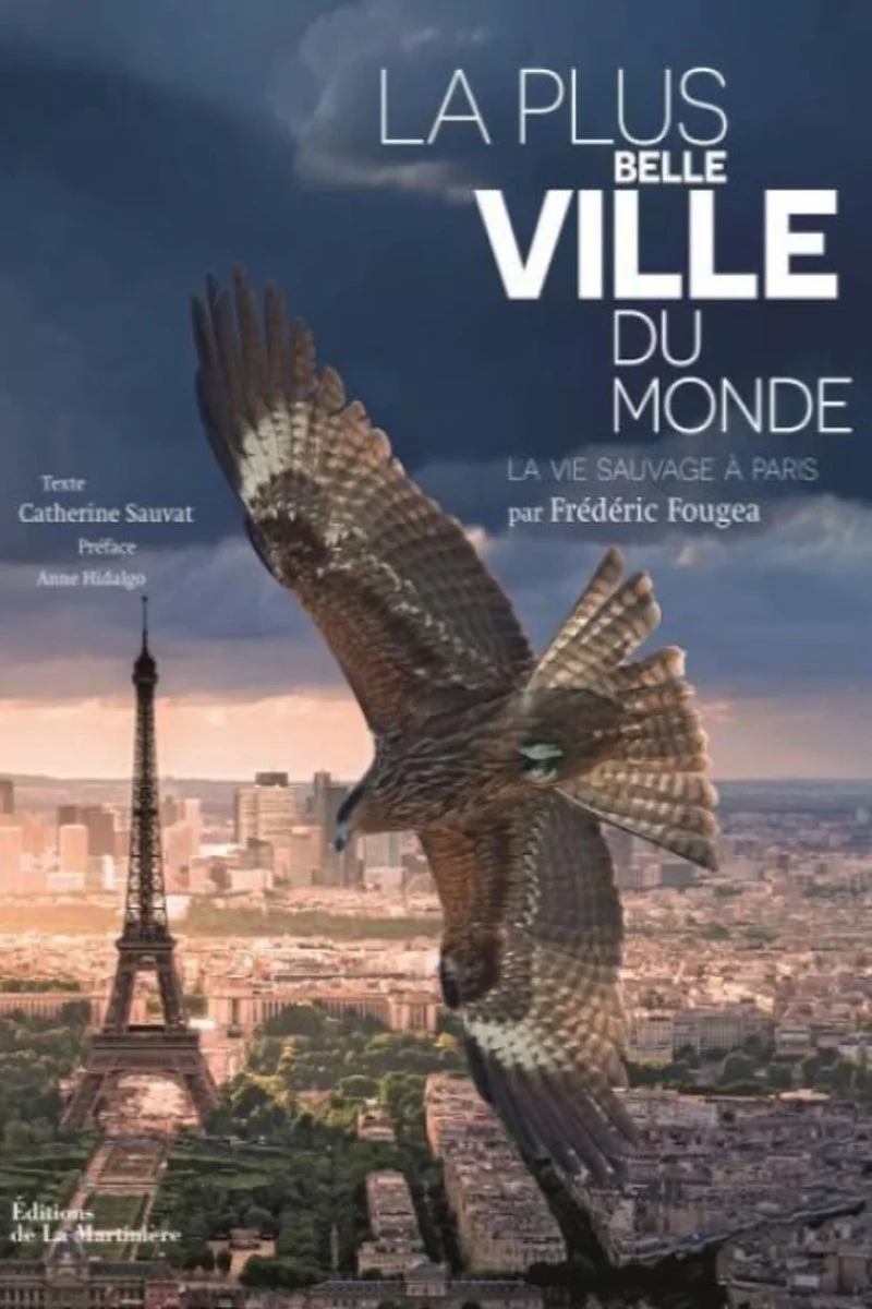 Affiche de Paris: A Wild Story