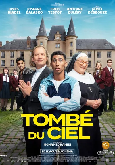 Poster Tombé du Ciel