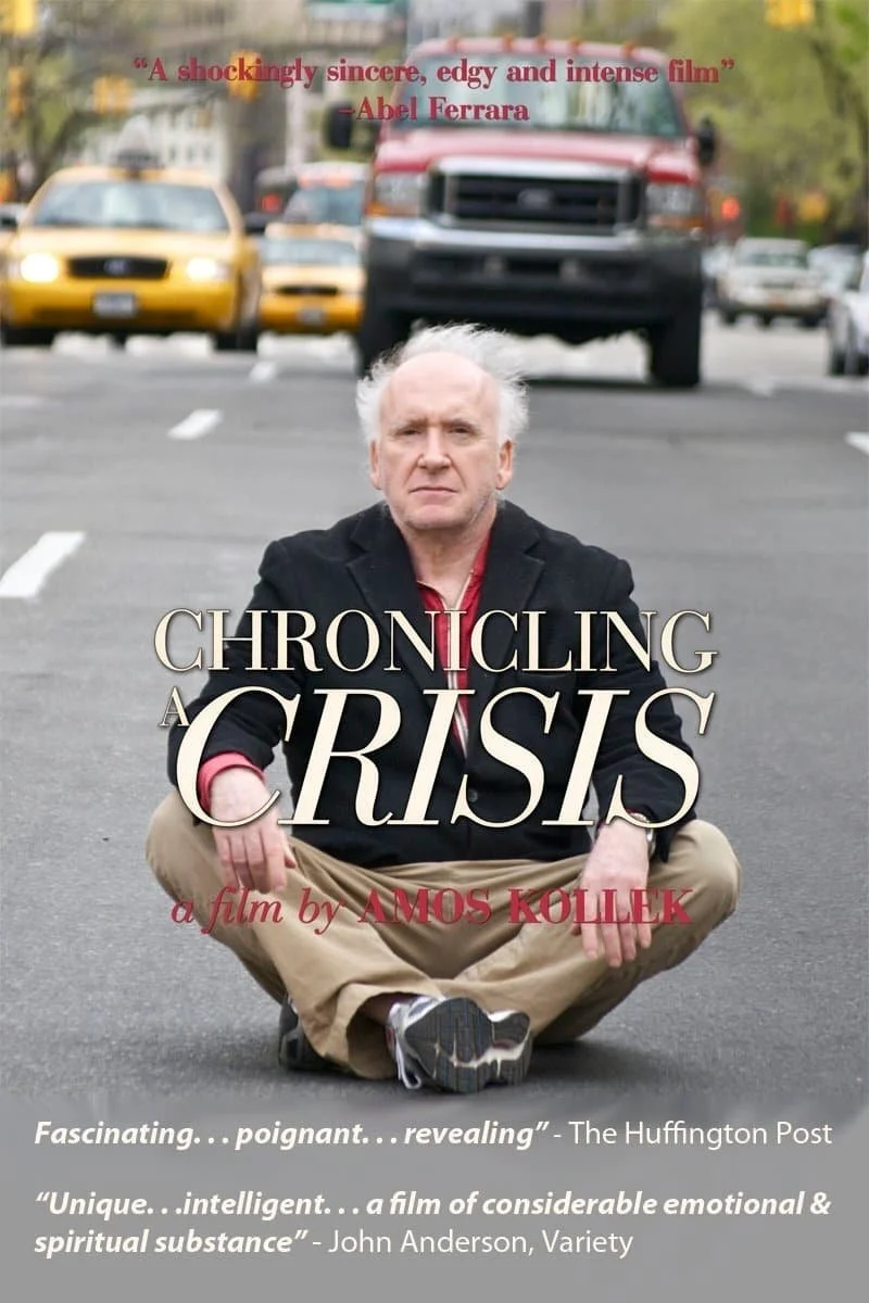 Affiche de Chronicling a Crisis