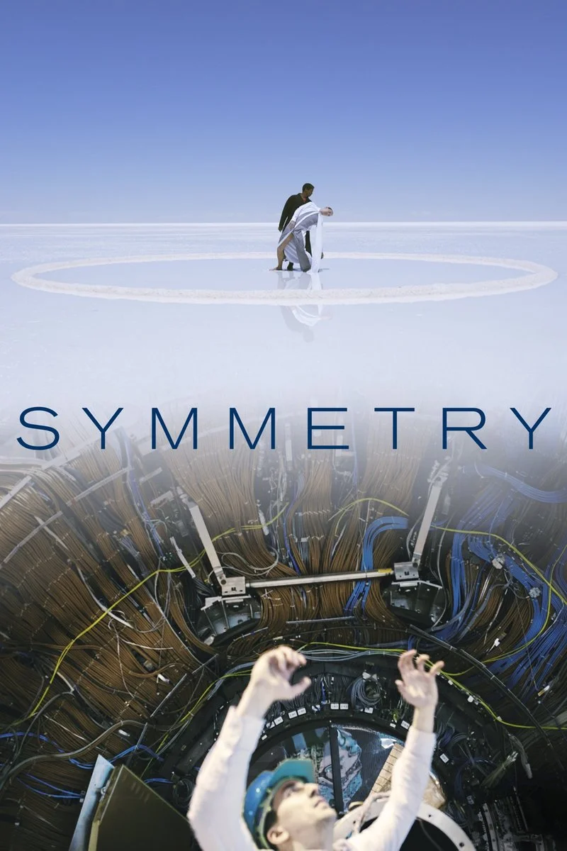 Affiche de Symmetry