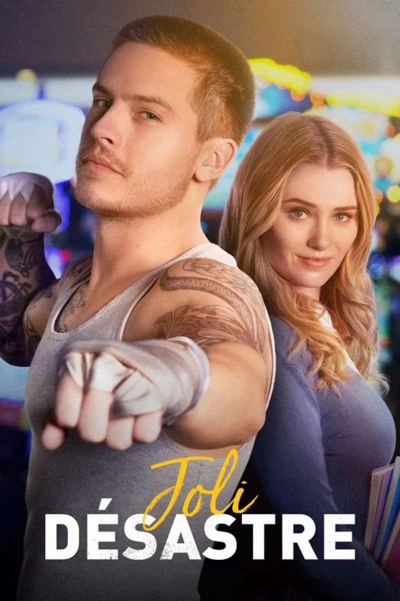 Poster van Joli désastre