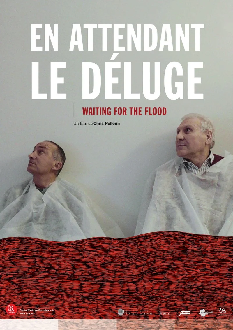 Poster van En attendant le déluge