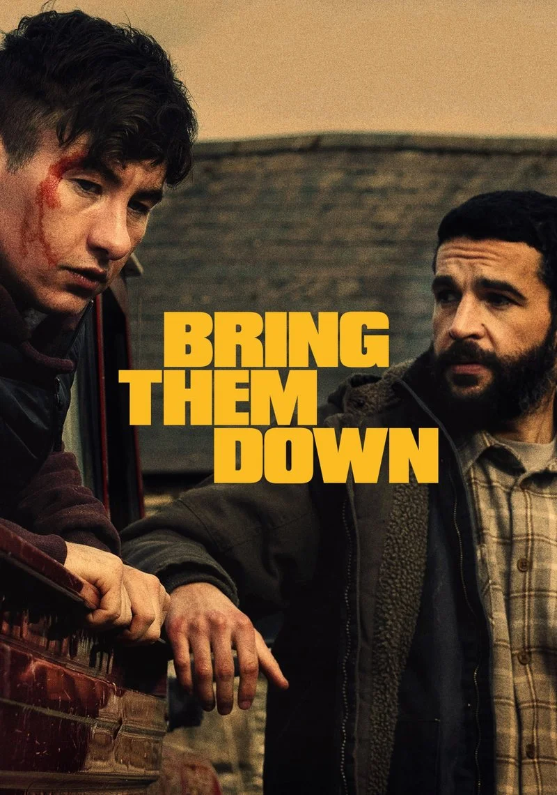 Affiche de Bring Them Down