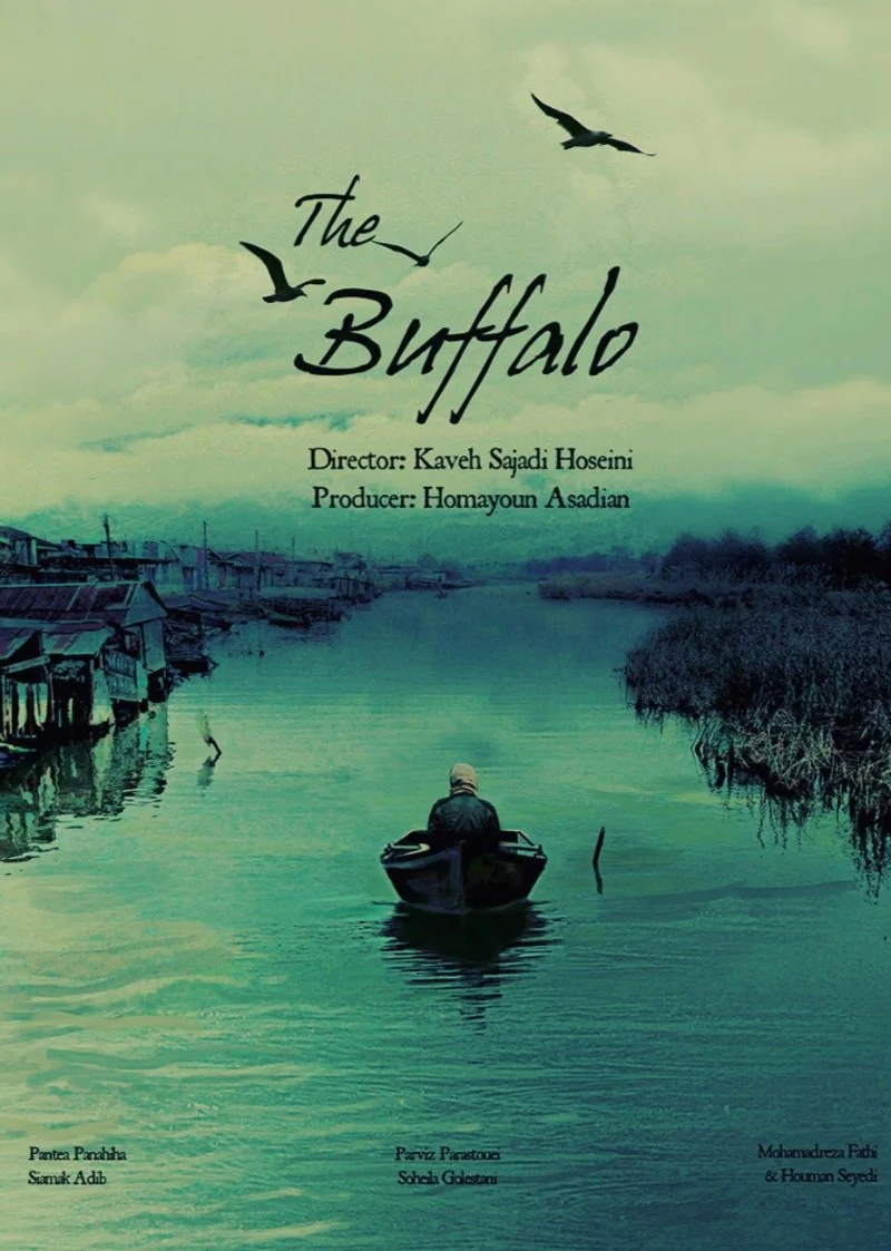 Poster van Buffalo