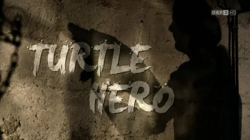 Affiche de Turtle Hero