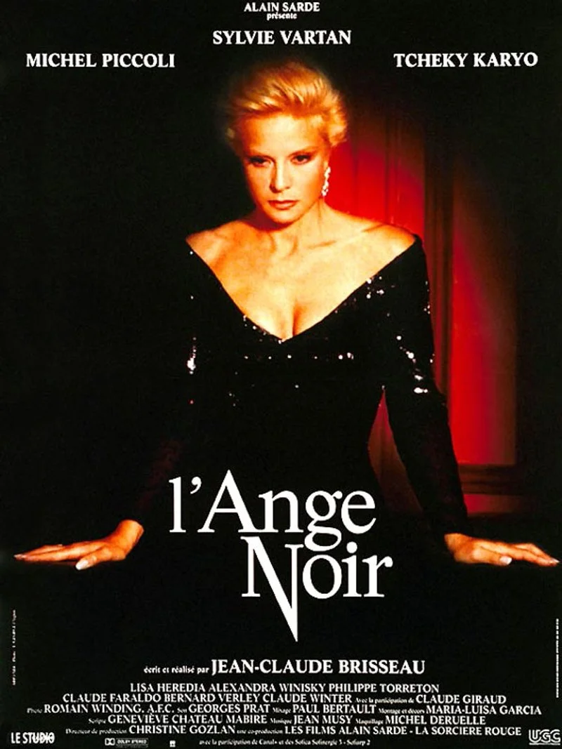Affiche de L'ange noir
