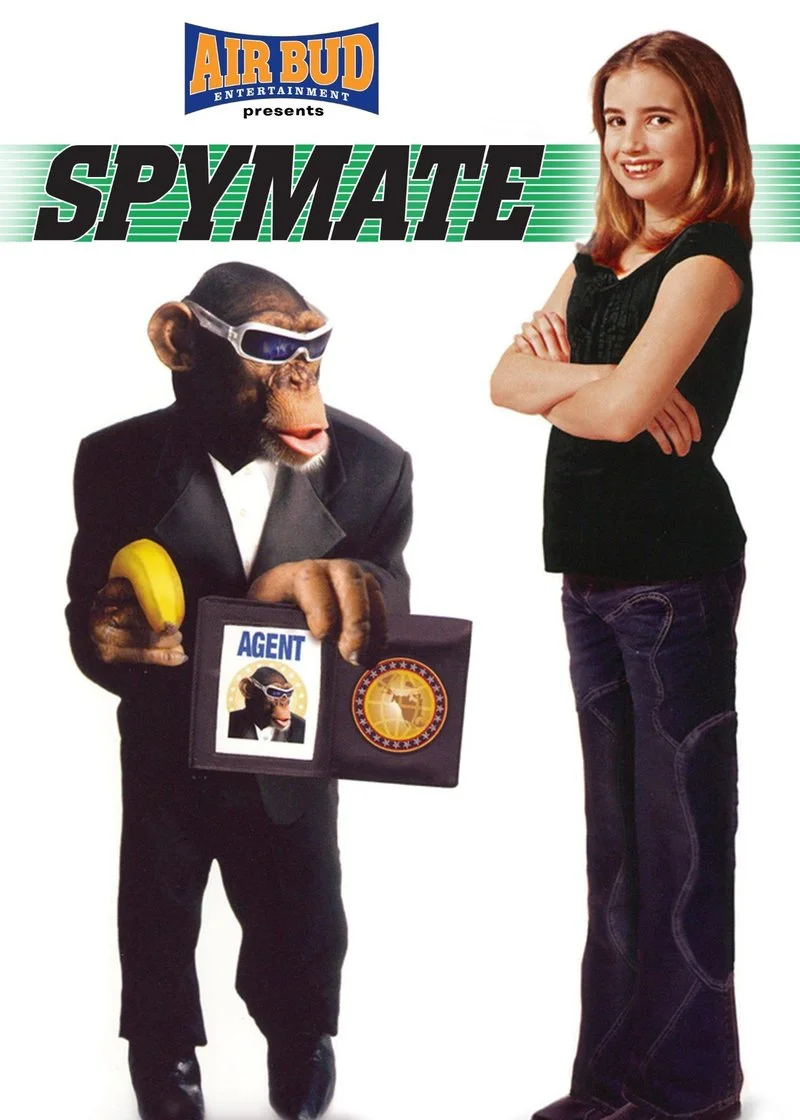 Poster van Spymate