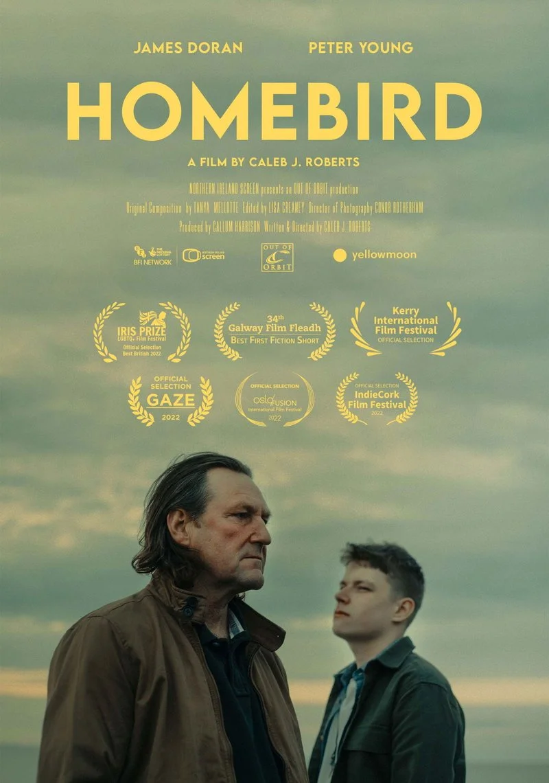 Affiche de Homebird