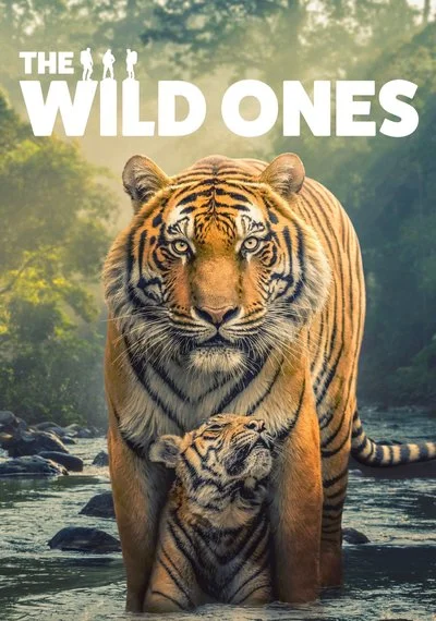 Poster The Wild Ones