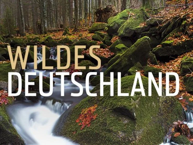 Poster van Expeditionen ins Tierreich: Abenteuer Nordsee