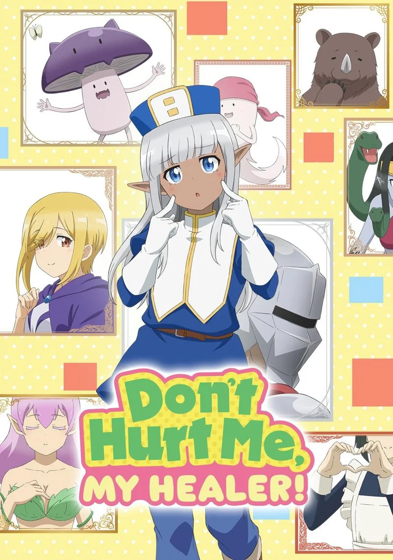 Poster van Don't Hurt Me, My Healer!
