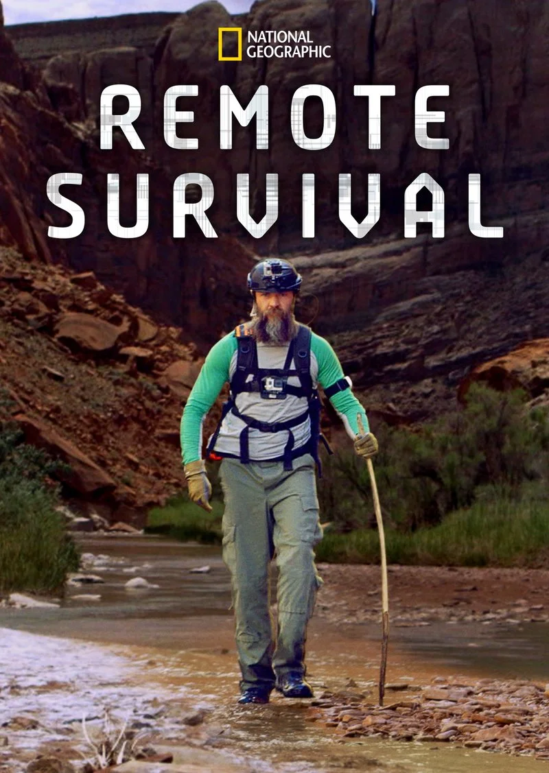 Affiche de Remote Survival