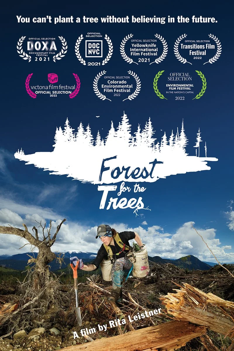 Poster van Forest for the Trees