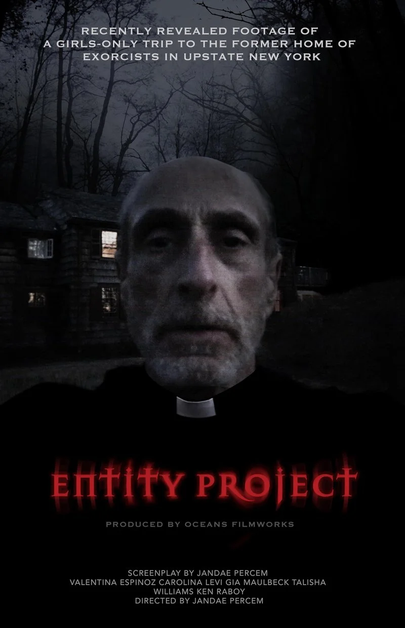 Poster van Entity Project