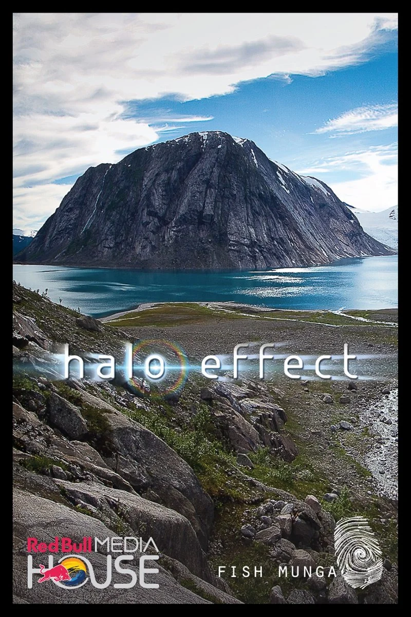 Affiche de Halo Effect