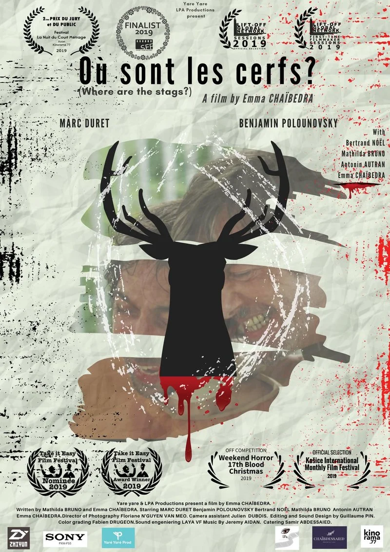 Affiche de Où Sont les Cerfs ?