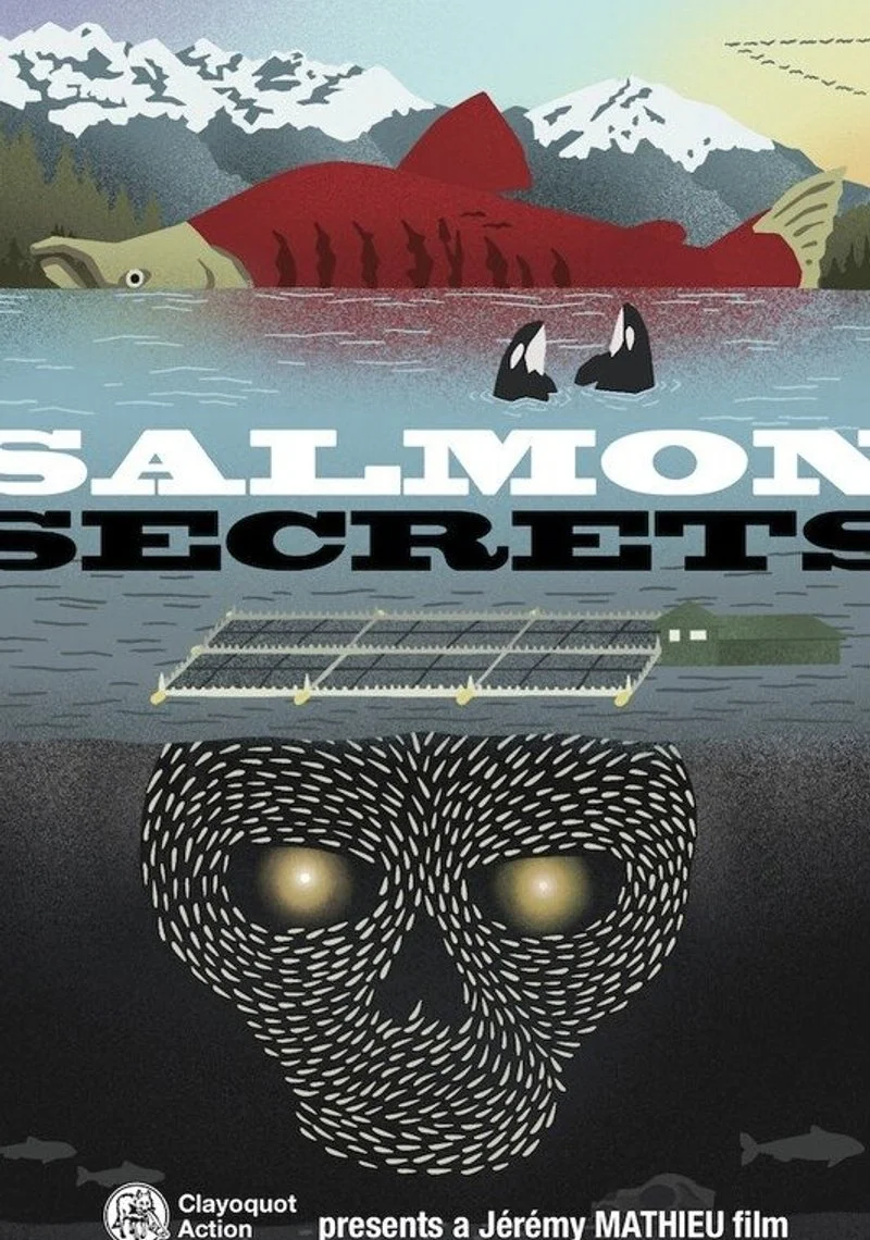 Affiche de Salmon Secrets
