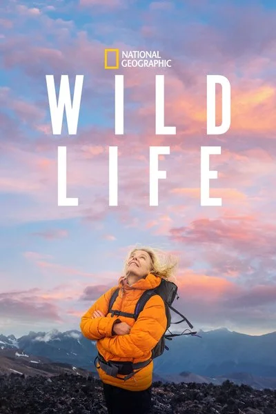 Affiche Wild Life
