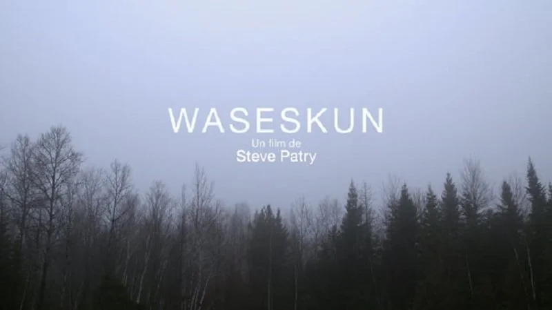 Poster van Waseskun v.f.