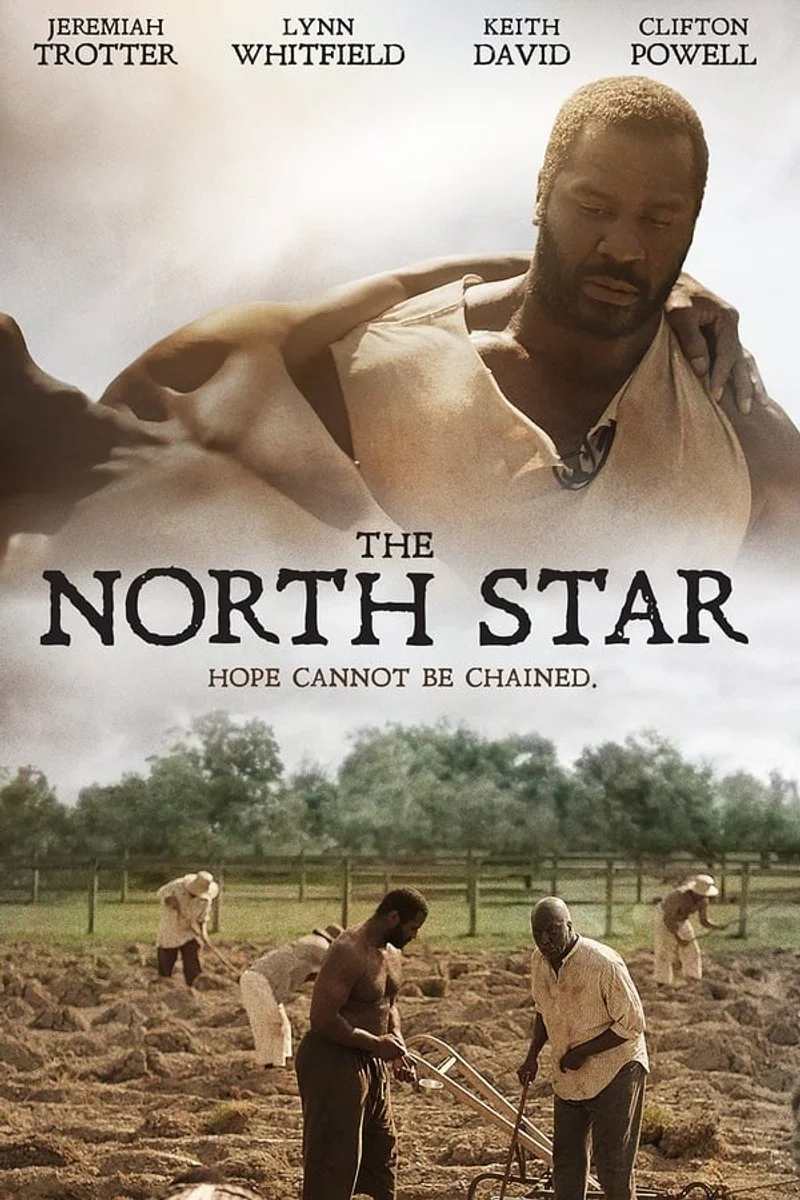 Affiche de The North Star