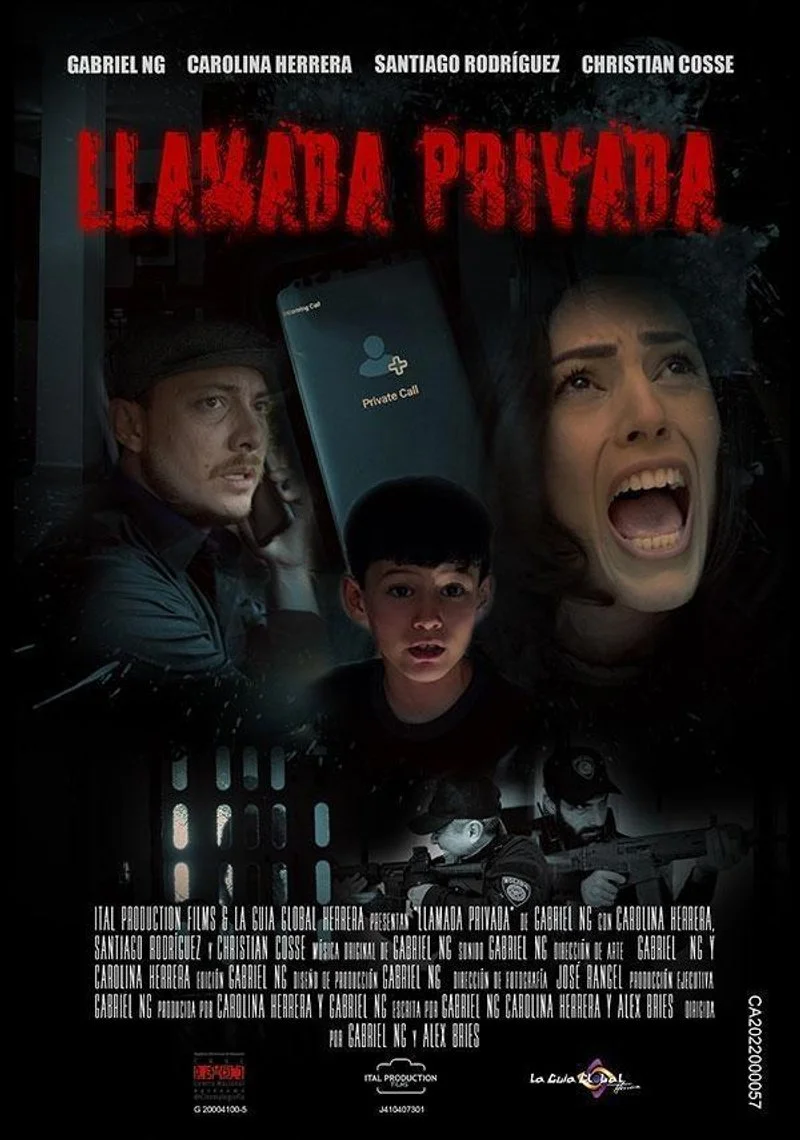 Affiche de Private call