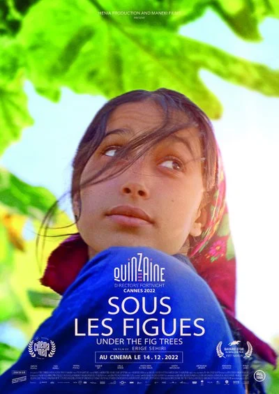 Affiche Sous les Figues